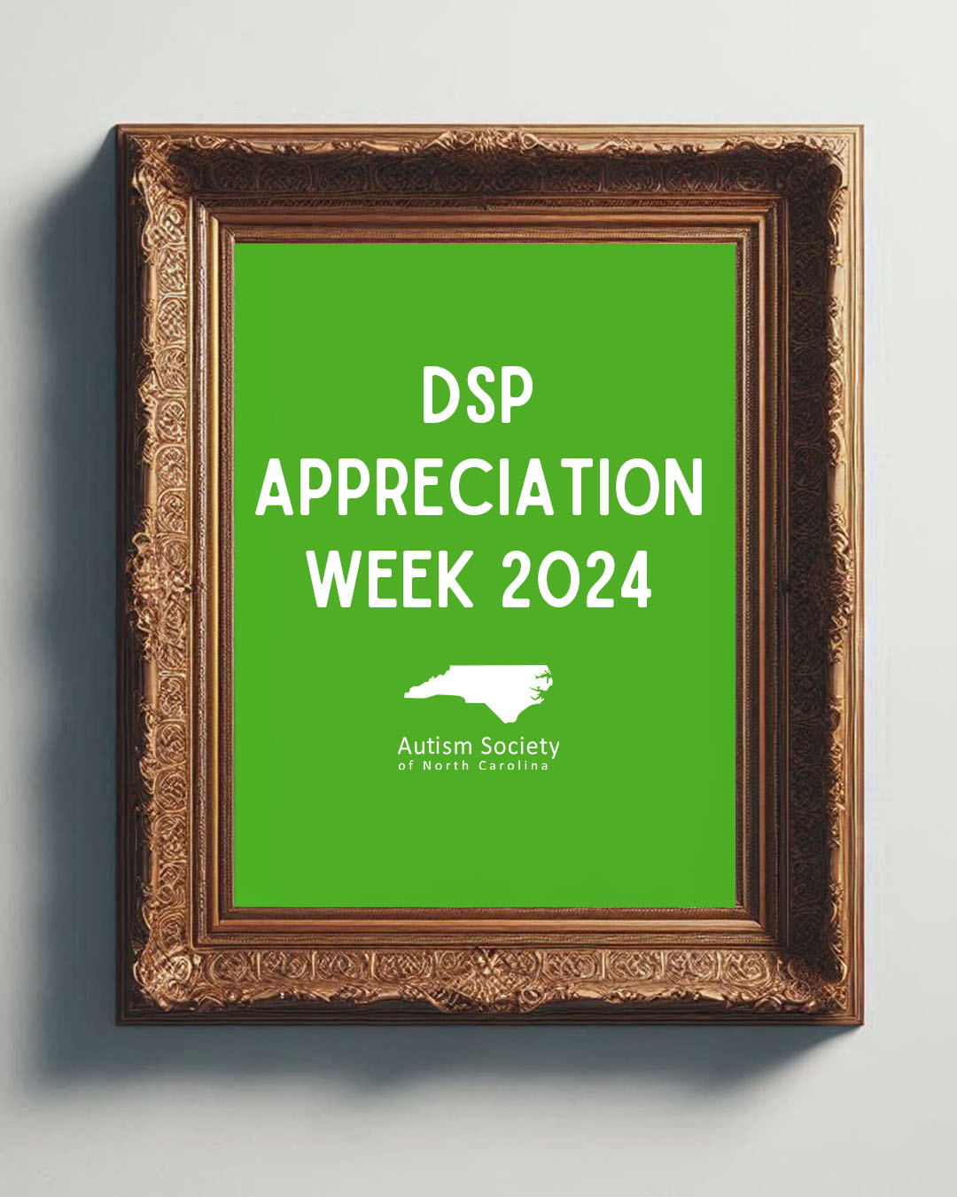 DSP Appreciation Week 2024